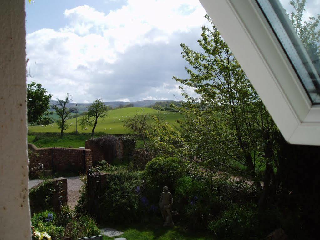 Catwell House Bed & Breakfast Williton Luaran gambar